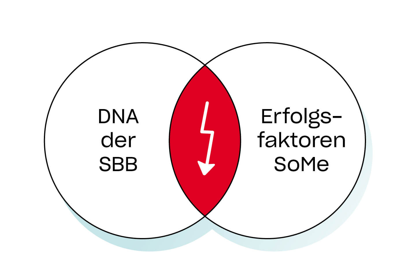 Die DNA der SBB zu bestimmen bedeutet bestimmte Charakteristiken für das Unternehmen zu definieren. Einmal definiert, können diese als Erfolgsfaktoren für Social Media dienen, indem sich die präsentierten Inhalte daran orientieren.