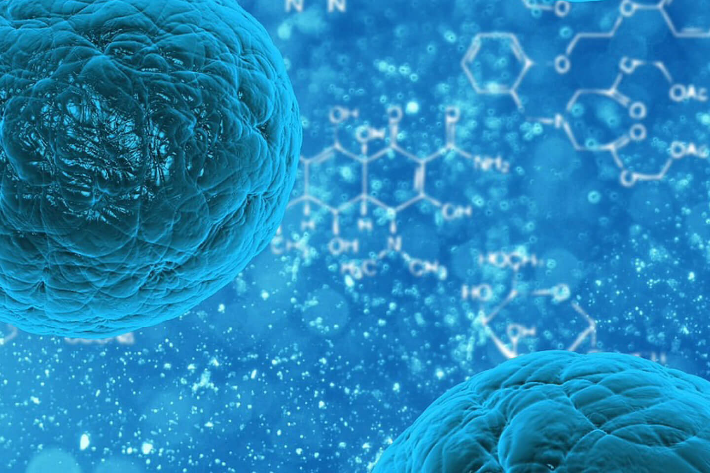 Makroaufnahme eines Untersuchungsbildes, wahrscheinlich via Mikroskop.